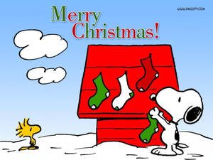 Fondo de pantalla de Calcetines Navideños de Snoopy en su Casa — Snoopy navidad Fondos de pantalla
