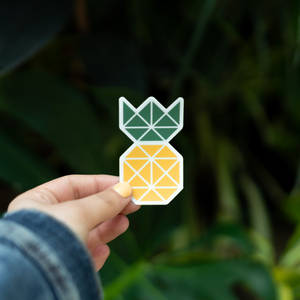 Fondo de pantalla de una calcomanía de piña geométrica sostenida por una dama — 1:1 Fondos de pantalla