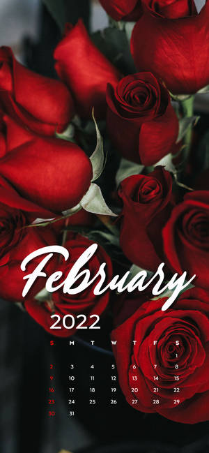 Fondo de pantalla Calendario Febrero 2022 Rosas Rojas — iPhone 16e Fondos de pantalla