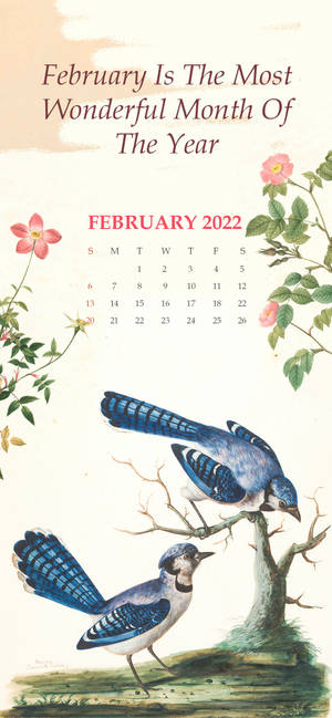 Fondo de pantalla Calendario Febrero 2022 con Pájaros Azules — iPhone 18 Pro Max Fondos de pantalla