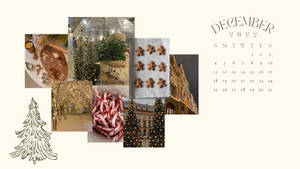 Navidad Prep