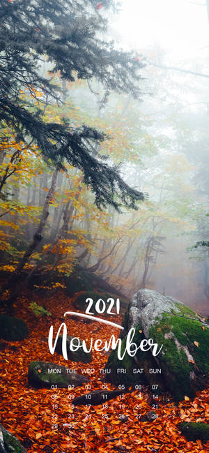 Fondo de pantalla calendario noviembre 2021 bosque neblinoso — iPhone 13 Pro Max Fondos de pantalla