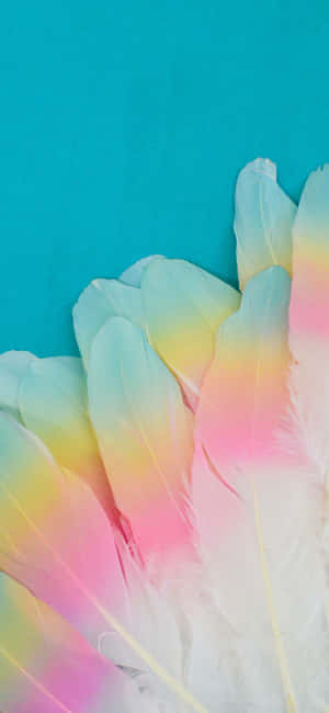 1080x2340 — iPhone 14 Pro Max Fondos de pantalla