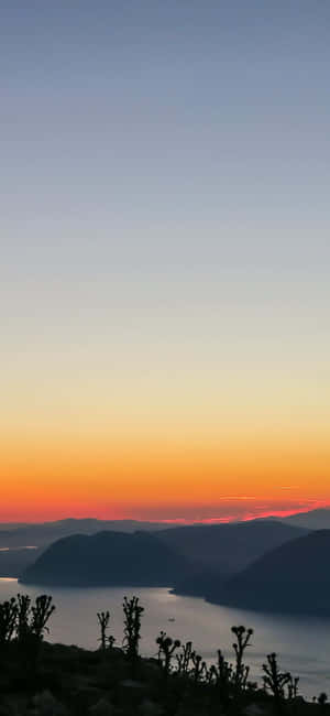 Fondo de California para iPhone X — OnePlus 15T Fondos de pantalla