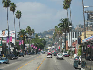 Fondo de pantalla de la calle Sunset Boulevard