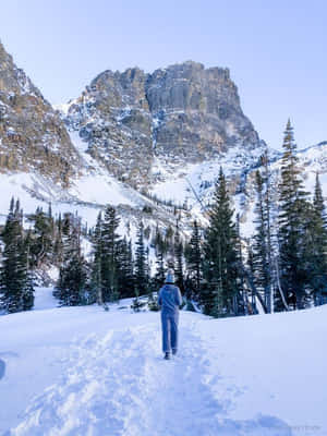 Caminata Invernal Aventurera en Montañas Nevadas — HMD Terra M Fondos de pantalla