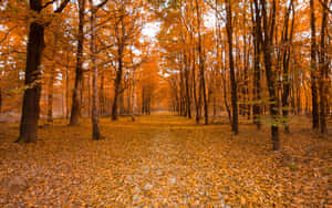 1280x800 — 1280x800 Fondos de pantalla