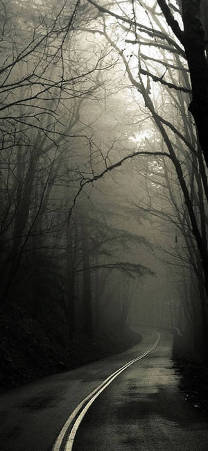 Camino Neblinoso iPhone Oscuro — Bosque oscuro Fondos de pantalla