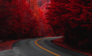 Fondo de pantalla de camino estético de otoño rojo — Estética otoño Fondos de pantalla