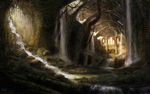 Camino Hacia el Bosque Pantalla Oscura — Vista del bosque Fondos de pantalla