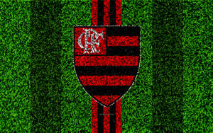 Campo de Césped Flamengo FC