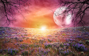 Fondo de pantalla de Campo de Flores y Luna Galáctica — Galaxia luna Fondos de pantalla