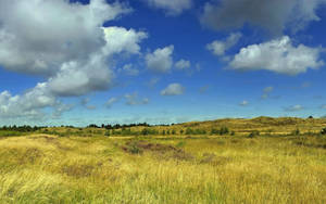 Campo de verano con hierba verde, cielo despejado y nubes blancas.
