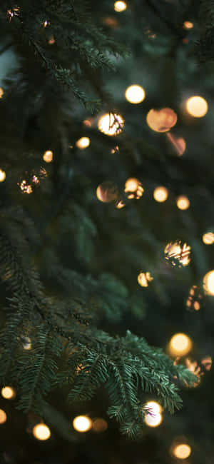 Fondo de pantalla navideño para iPhone — iPhone 17 Pro Max Fondos de pantalla