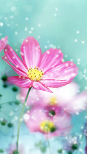 Fondo de flores vibrante para iPhone — Floral iPhone Fondos de pantalla