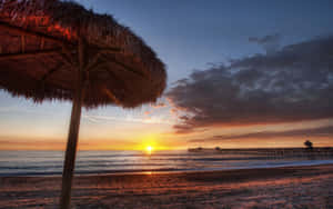 Verano Californiano