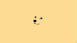 Imágenes minimalistas estéticas — Oso lindo Fondos de pantalla