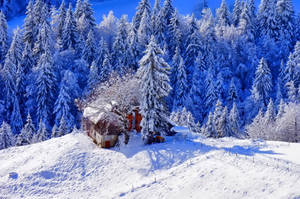 Fondo de pantalla de casa de invierno sobre la nieve