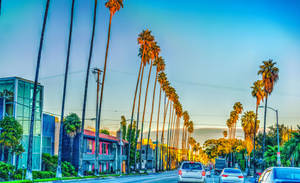 Fondo de pantalla de Casas de Sunset Boulevard