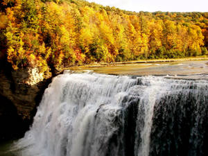 Fondo de pantalla otoñal de árboles, cascadas, bosque y naturaleza.