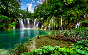 Cascadas Naturales Fondo de Escritorio Profesional