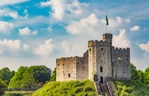 Castillo de Cardiff rodeado de árboles
