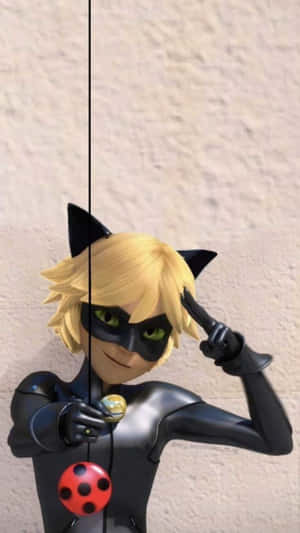 Imágenes de Cat Noir — Cat Noir Fondos de pantalla