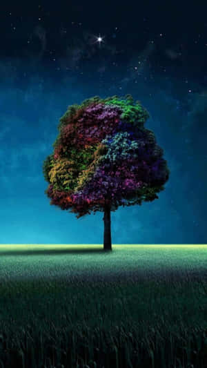 Cautivador Paisaje Nocturno Urbano