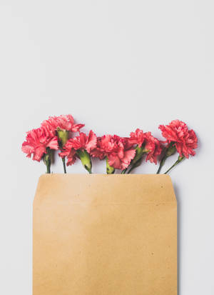 Fondo de pantalla de flores rosas pequeñas y lindas. — OnePlus Pad 2 Pro Fondos de pantalla