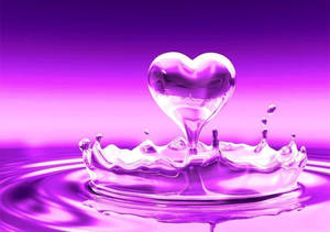 2000x1408 Fondo de pantalla de corazones púrpura y rosa