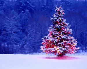 Fondo de pantalla de árbol de Navidad colorido y nevado sobre fondo de bosque azul — 5:4 Fondos de pantalla