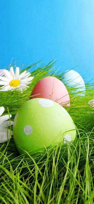Teléfono de Pascua — Primavera Fondos de pantalla