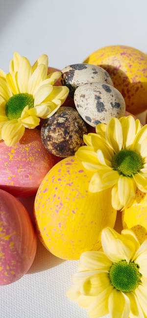Teléfono de Pascua — Primavera Fondos de pantalla