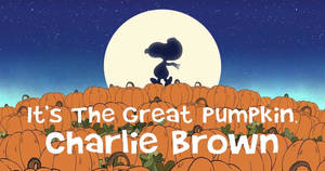 Fondo de pantalla de Charlie Brown Calabazas de Halloween