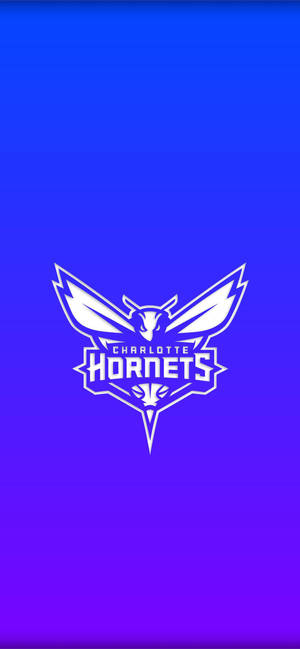 Fondo de pantalla Charlotte Hornets azul degradado — iPhone 17 Fondos de pantalla