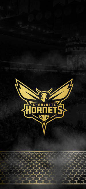 Fondo de pantalla de Charlotte Hornets en negro — iPhone 17 Pro Fondos de pantalla