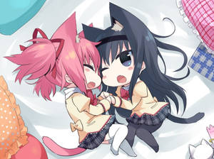 Fondo de pantalla de chibi gato anime lesbianas — Anime lesbiana Fondos de pantalla