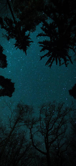 Fondo de pantalla de cielo estrellado nocturno Oneplus — iPhone 18 Fondos de pantalla