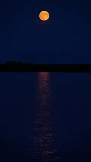 Cielo Nocturno Galáctico Místico