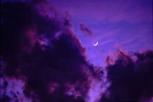 Estético para Escritorio — Morado aesthetic GIF Fondos de pantalla