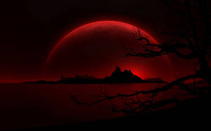 Cielo rojo oscuro y fresco — Bosque oscuro Fondos de pantalla