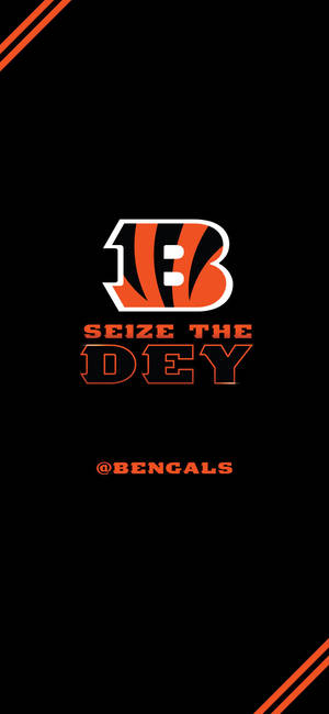 Fondo de pantalla de Cincinnati Bengals aprovecha el día — iPhone 14 Pro Max Fondos de pantalla