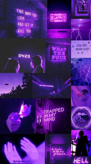 Cita Estética Púrpura Oscuro — Morado Fondos de pantalla