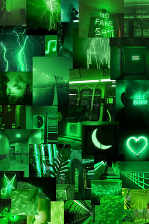 Estética verde lima — Estética verde GIF Fondos de pantalla