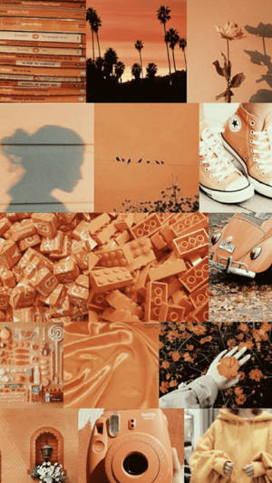 Zehra Us en Wallpapers