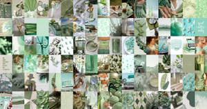 Fondo de pantalla de collage estético verde salvia — Verde claro aesthetic Fondos de pantalla