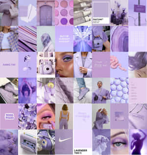Collage Morado — Púrpura oscuro aesthetic Fondos de pantalla