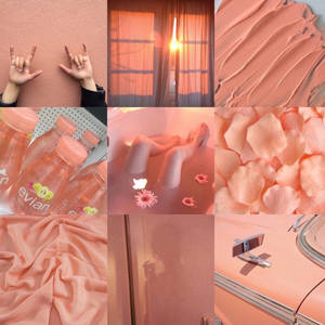 Collage Peach Estético para Chicas — Collage estético Fondos de pantalla