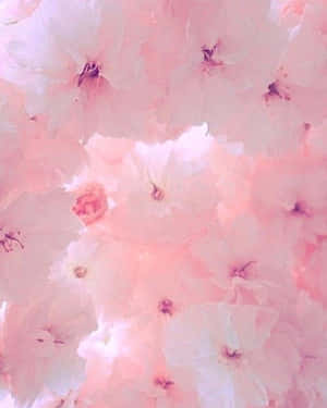 Imágenes estéticas en rosa pastel — Estética rosa pastel Fondos de pantalla