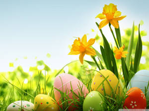 Huevos de Pascua coloridos con flores amarillas para una feliz Pascua festiva, fondo de pantalla de Pascua — 4:3 Fondos de pantalla
